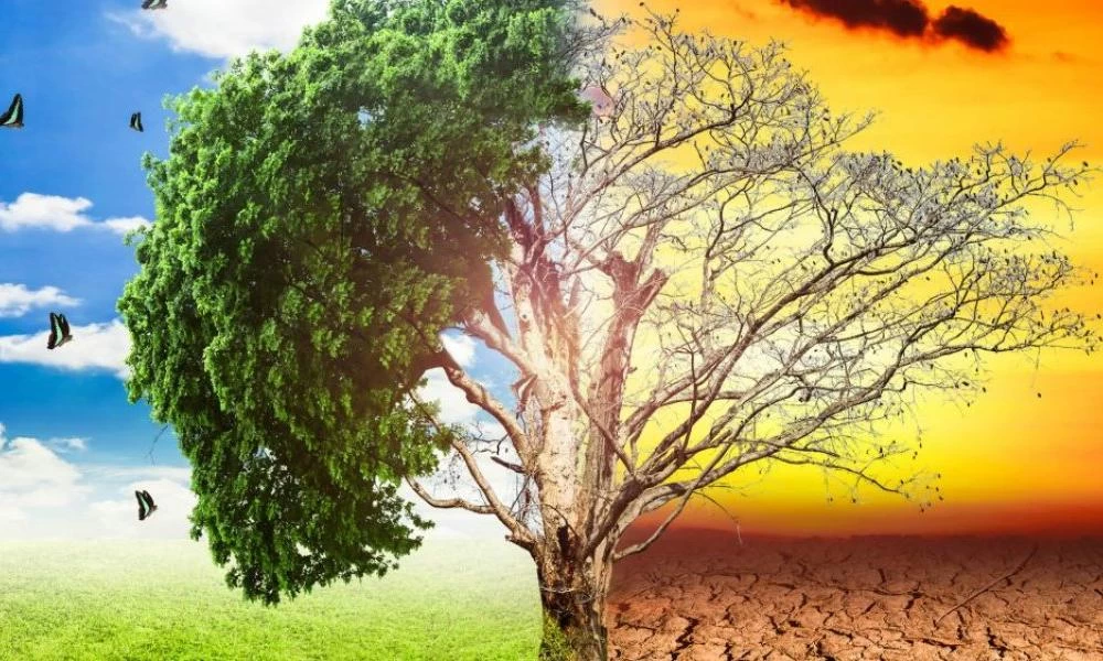 10 εκατ. άνθρωποι εκτοπίστηκαν λόγω κλιματικών καταστροφών